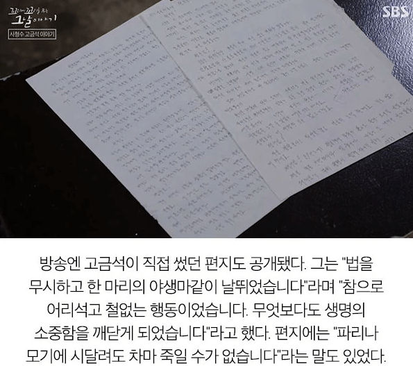가해자 미화 논란 방송