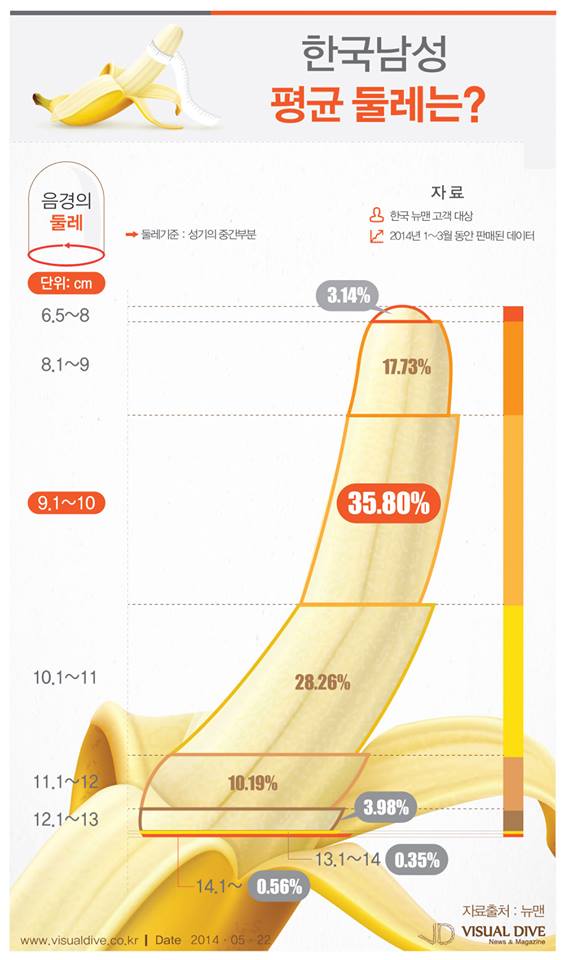 한국남성 평균 둘레