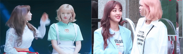 꽁냥꽁냥 사이 좋은 정연 지효 1.gif
