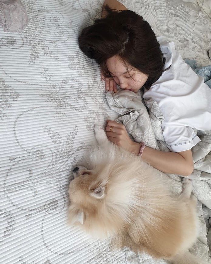 트와이스타그램