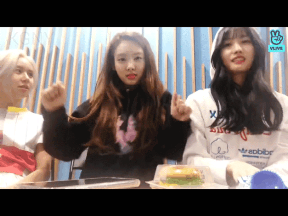 어제자 브이앱 춤추는 나모챙 나연 모모 채영