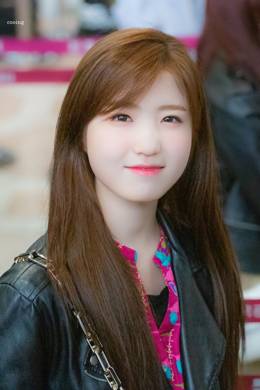 혼다 히토미