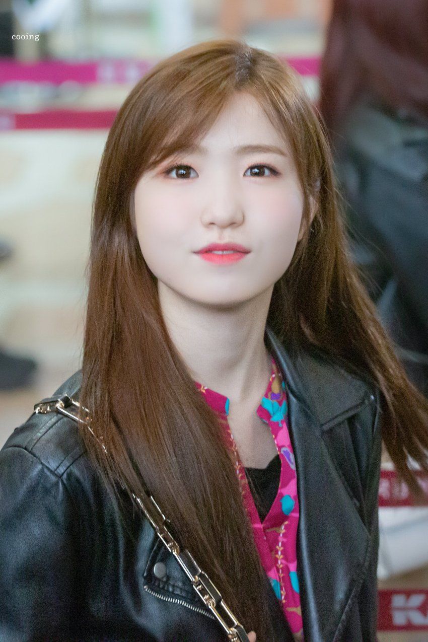 혼다 히토미