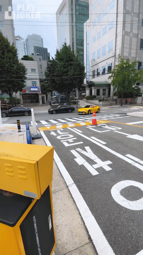 
						강남 오토바이 비키니녀 오늘 강남경찰서 출두 복장		