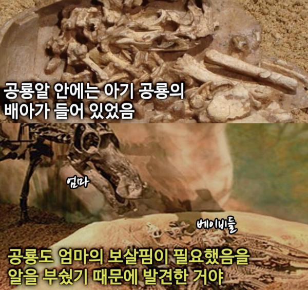 
						인생에 대한 교훈을 주는 고고학자...JPG		