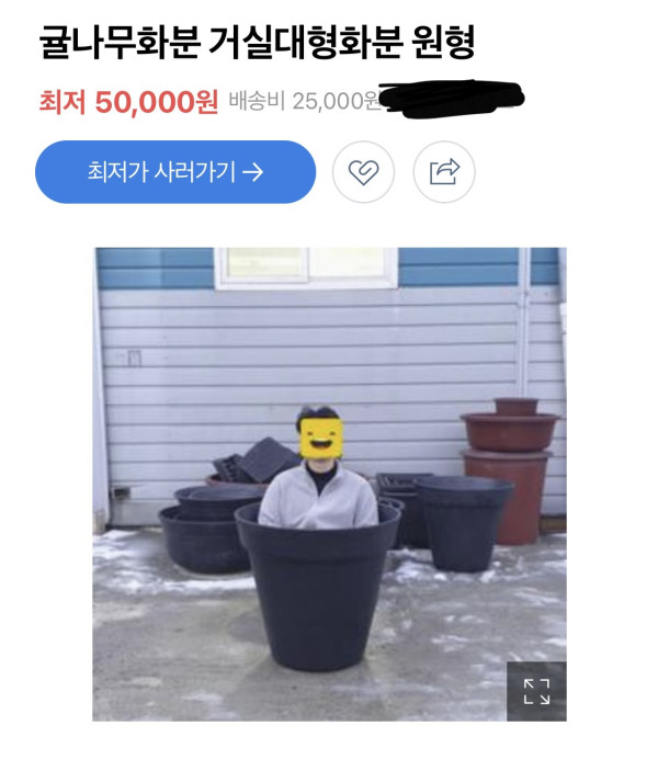 
						화분 크기 비교		