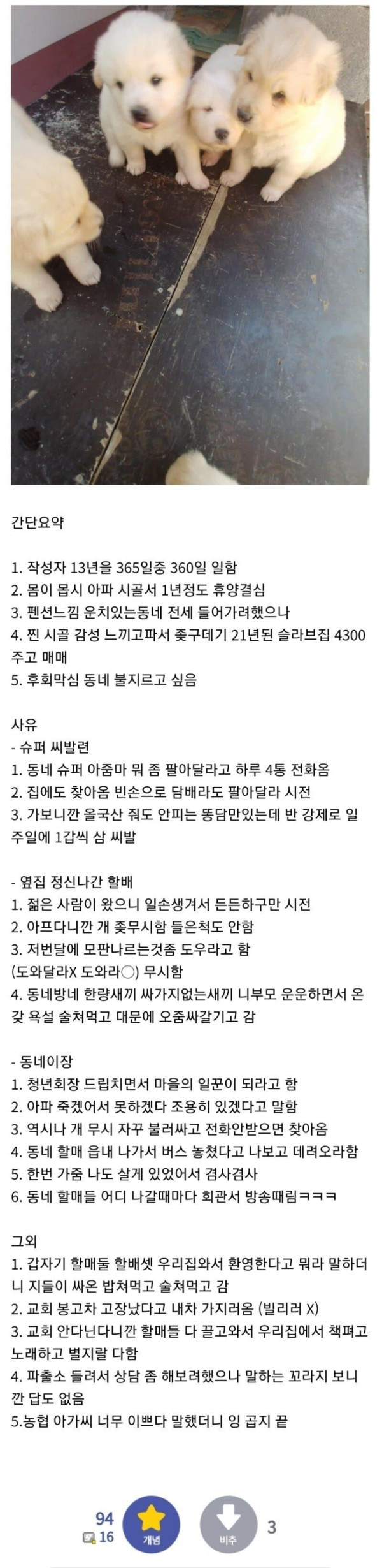 
						시골에 1년 요양 간 디씨인		
