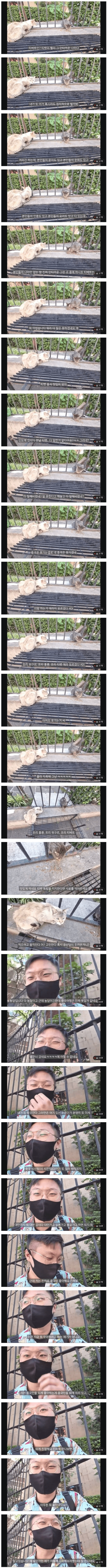 
						빠니보틀 중국 소신 발언.jpg		