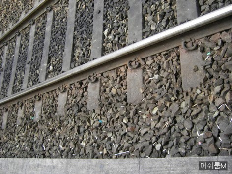 흡연자와 비흡연자의 생각