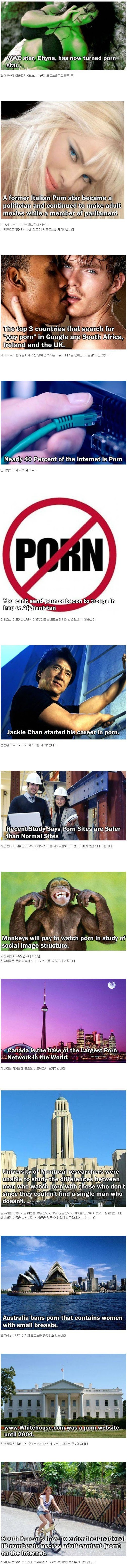 
			AV에 관한 몇가지 사실들 		