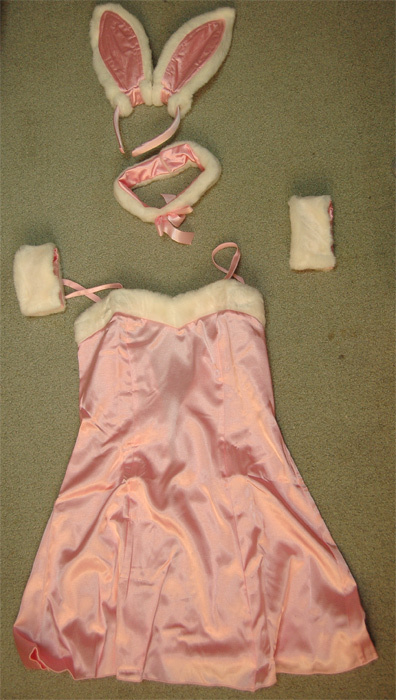 여친 메이드복 입히기