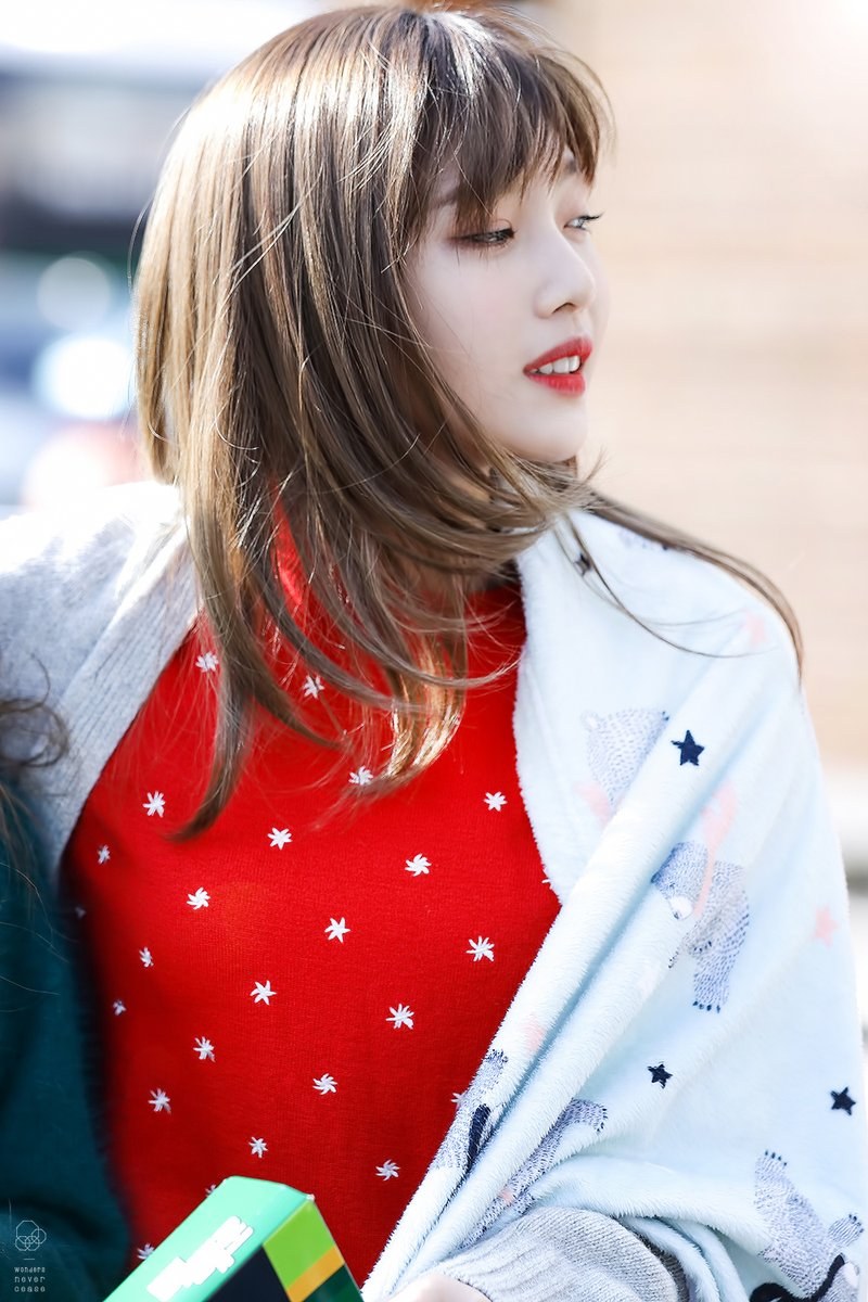 조이 직찍