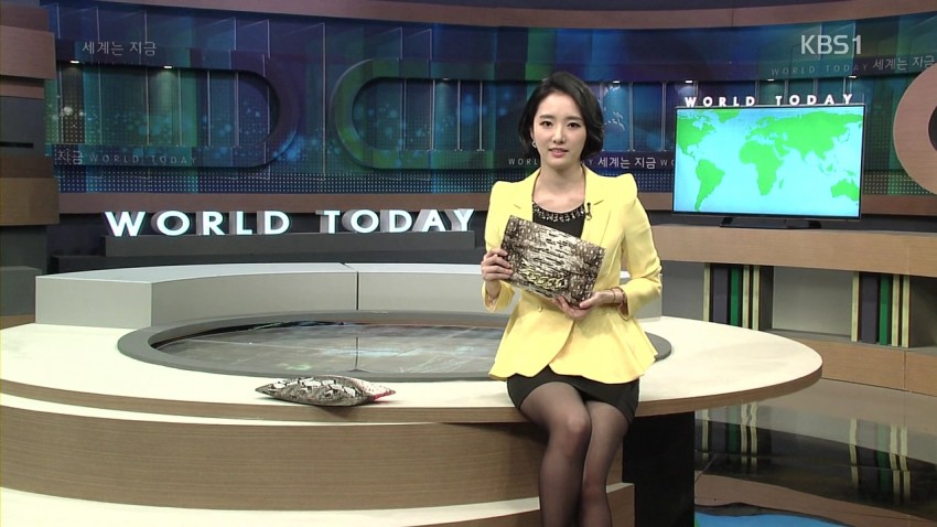 아나운서의 과감한 도발