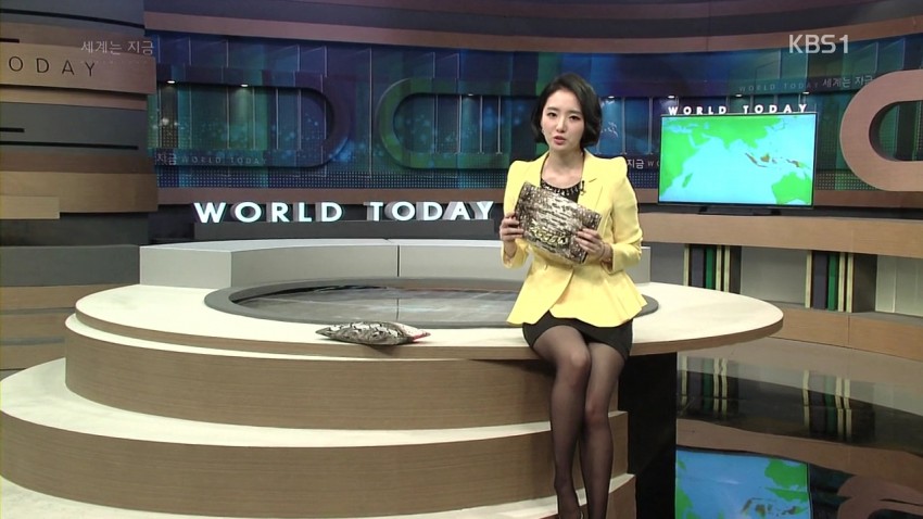 아나운서의 과감한 도발