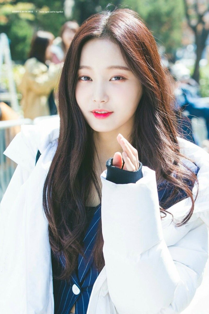 연우