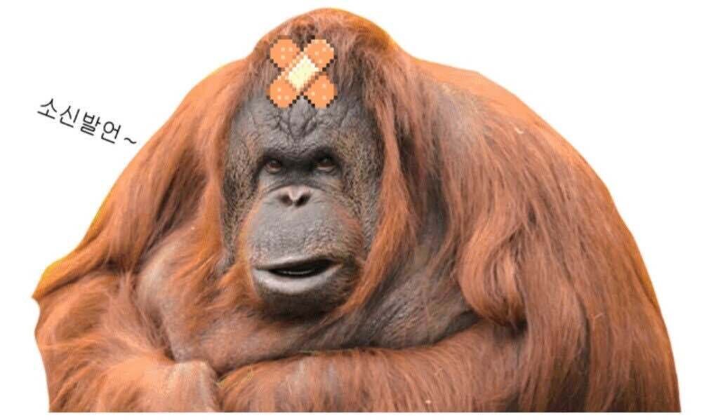 신작 소식에 눈물을 흘리는 프레데터 팬덤 현황