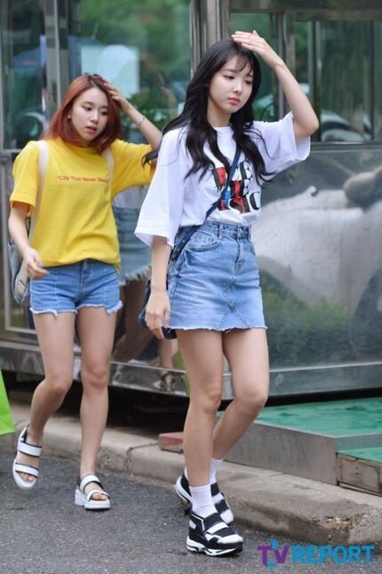 주토피아 아기맹수 채영이