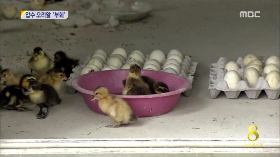 경남 경찰청에서 일어난 일