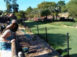칯하.gif