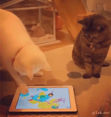 고양이 아이패드 게임