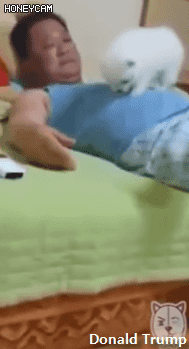 하여간 고양이새끼든 강아지새끼든 델구오기만해봐 확갖다 버려 버린다!!!