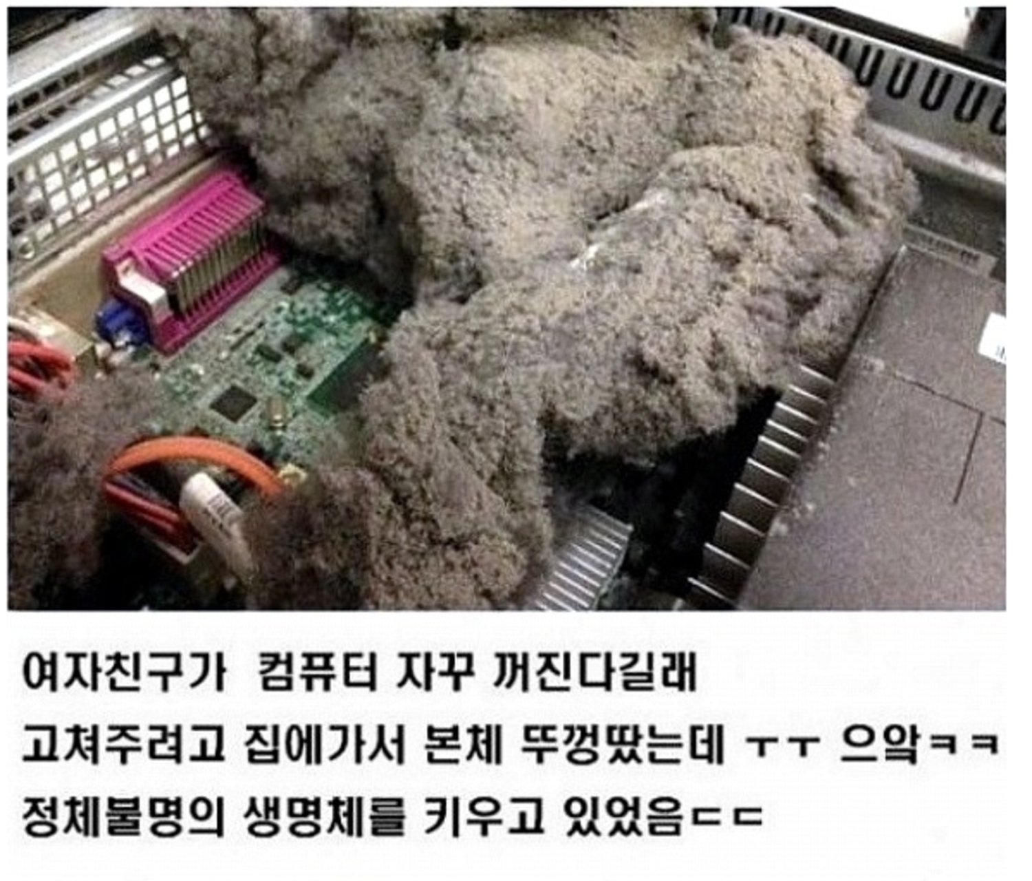 여자친구의 컴퓨터
