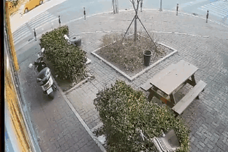 5.gif