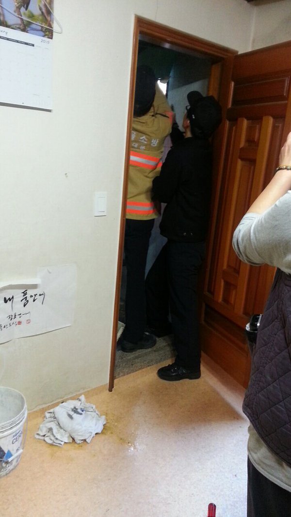 ㄹㅇ벌집