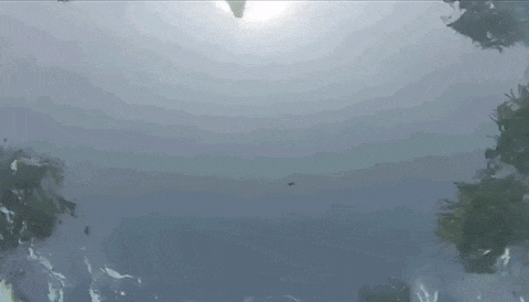 1501823596318.GIF