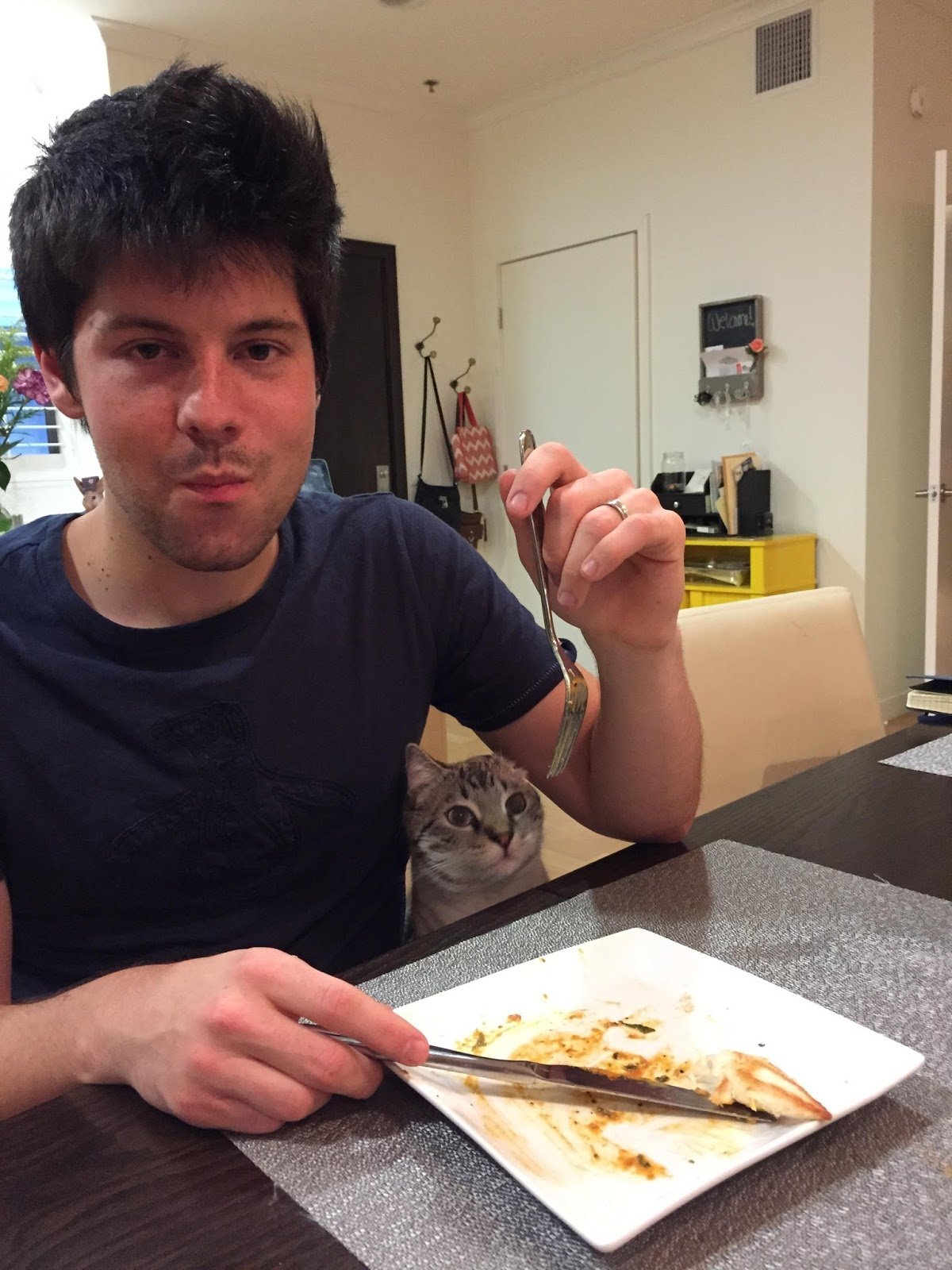 밥먹을때마다 쳐다보는 고양이