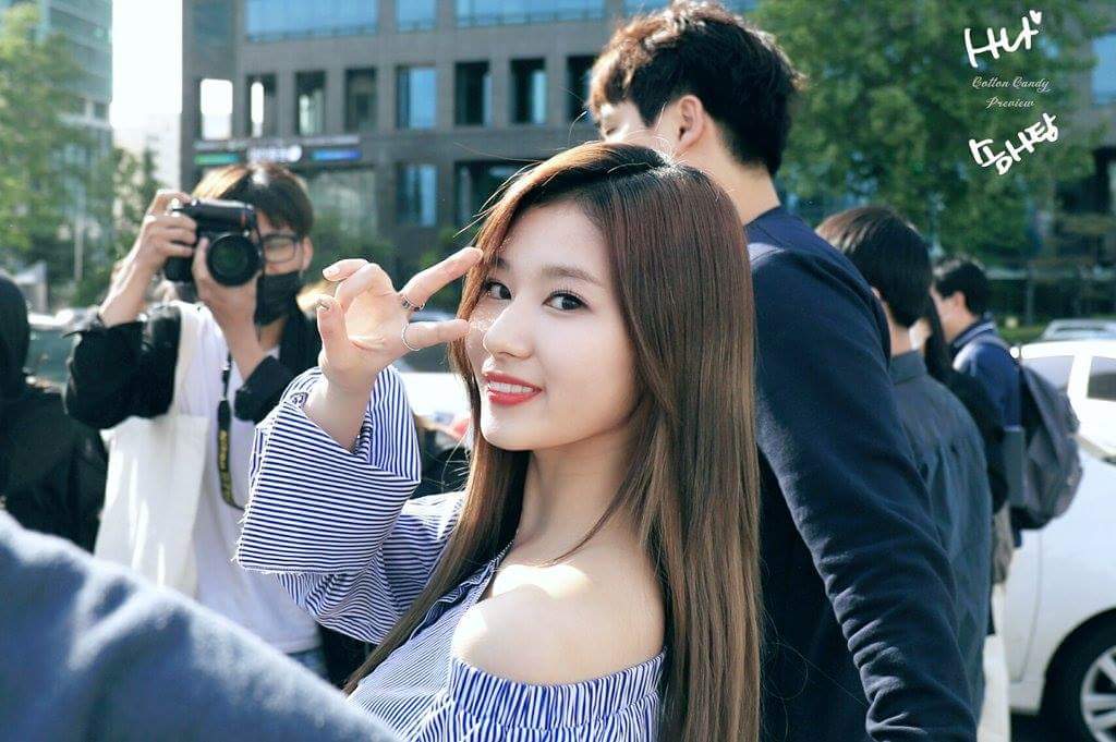 사나♡♡♡♡♡♡♡♡♡♡♡♡♡♡♡