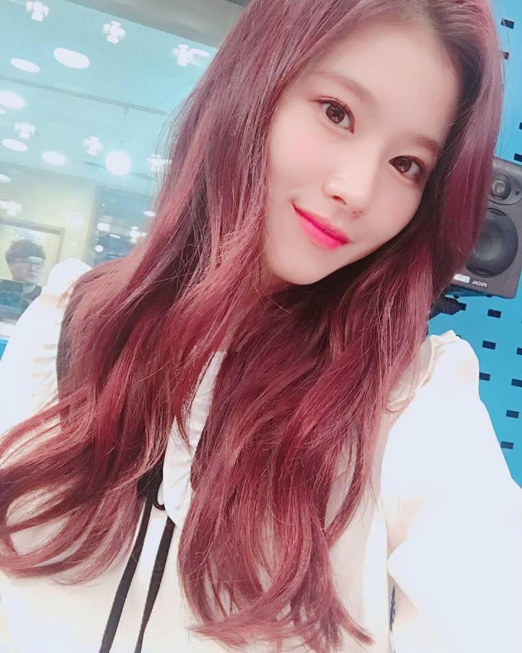 최파타 트와이스