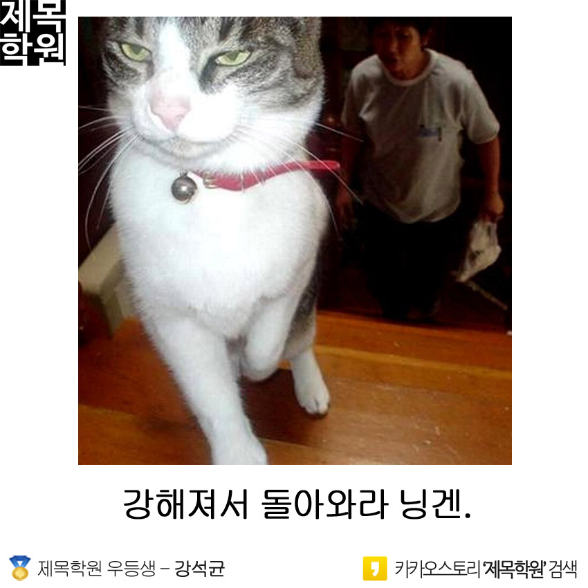 웃긴짤들ㅋㅋㅋㅋㅋㅋㅋㅋㅋㅋㅋㅋㅋㅋㅋ