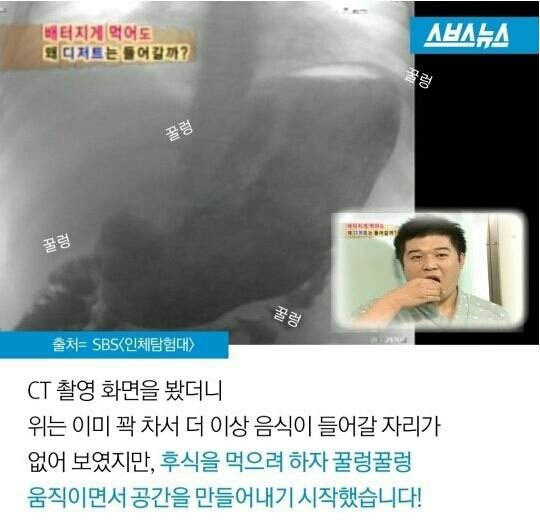 밥배와 간식배