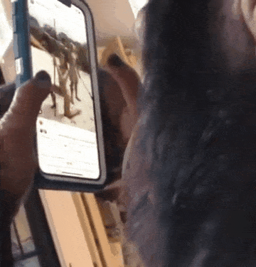 요즘 침팬지.gif