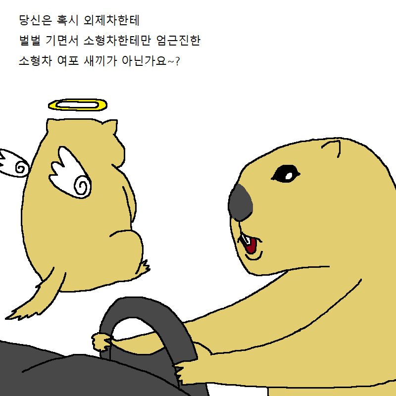 자동차 운전하다가 개빡치는 만화