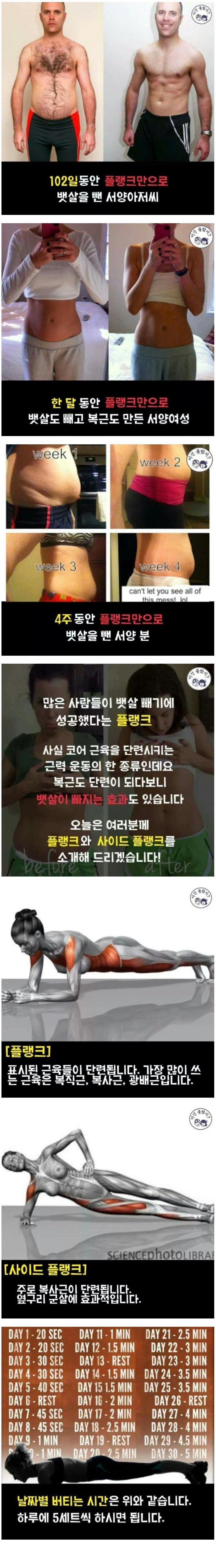 윗몸 일으키기는 가라... 플랭크 운동의 모든 것2.jpg