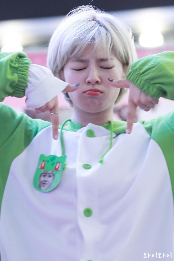 downloadfile-19.jpg