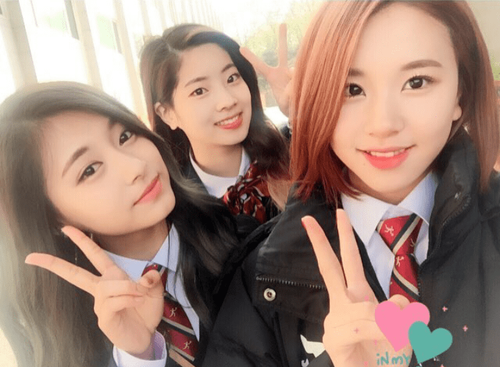[스압]트와이스 분석 "채영편"