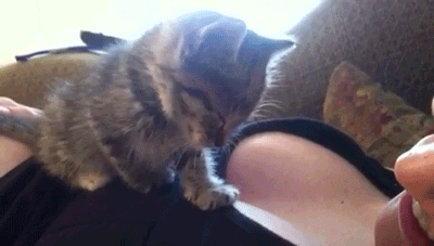 s3vv1ul.gif