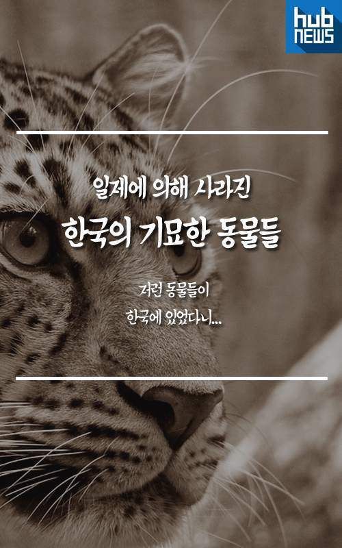 일제에 의해 사라진 우리나라 동물들