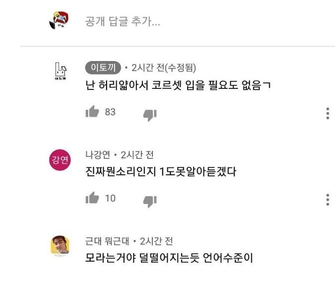 댓글로 팩폭하는 언냐