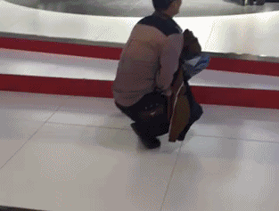 모터쇼 프로 딸잡이