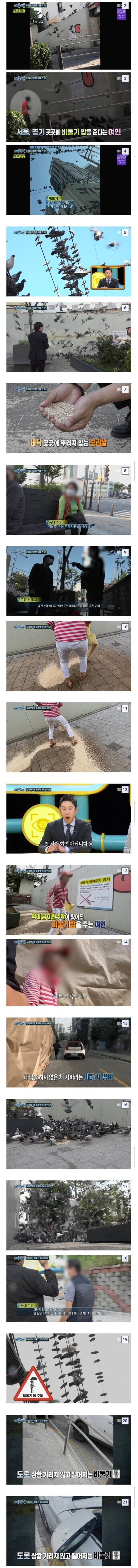 캣맘이 두려워하는 존재.JPG