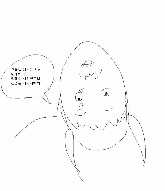 성주에 사드 배치하는 만화