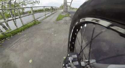 1.gif
