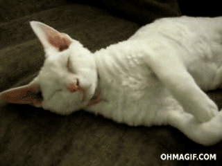 IMG_201621614348.gif