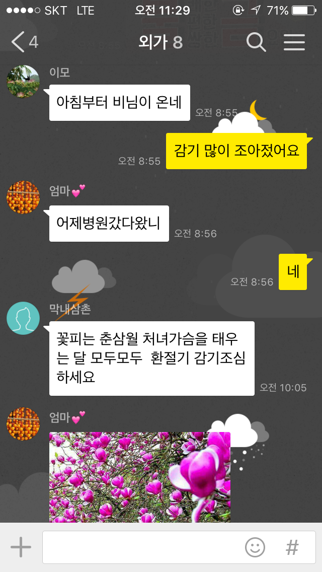 외가집 단톡방에 보낸 사진