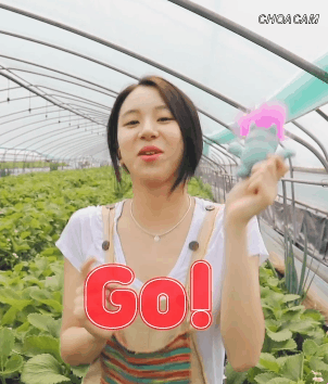 딸기따는 채영2