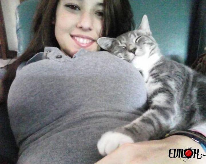 chat-dort-boobs.jpg